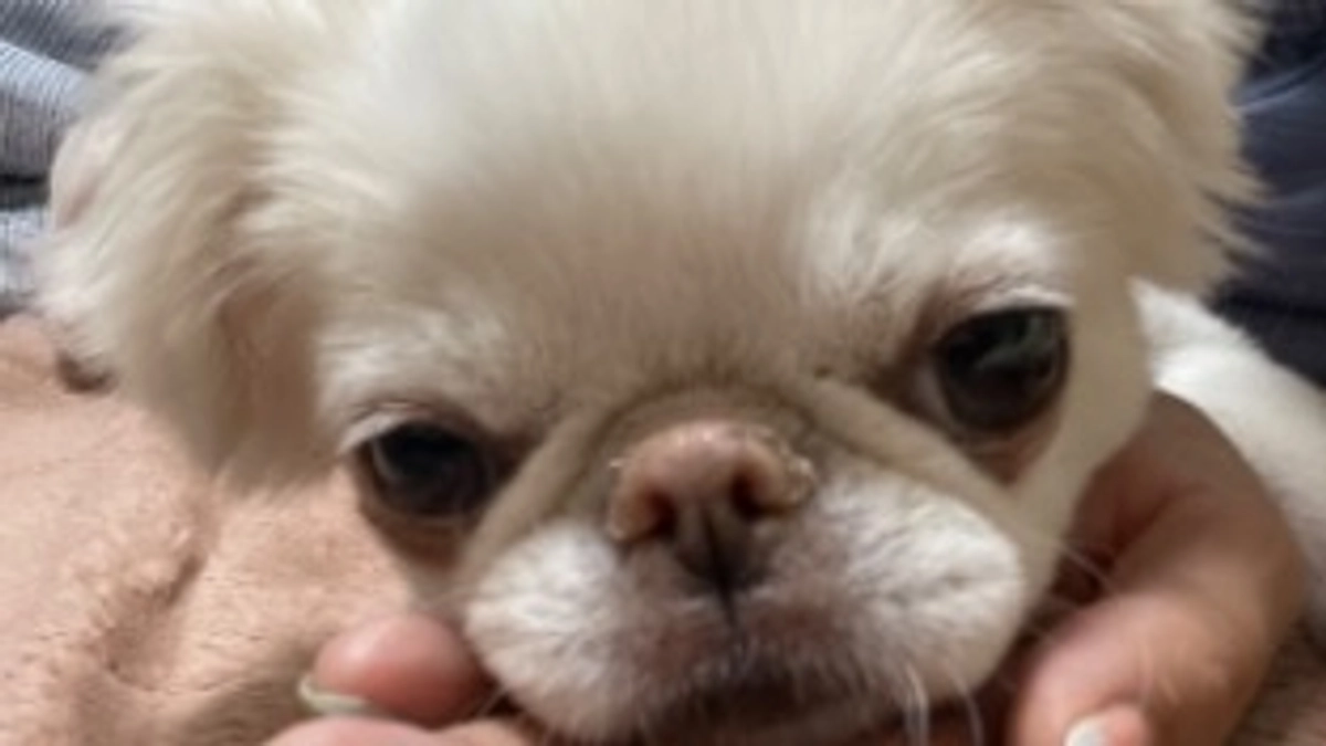 残り15日🐶‼️