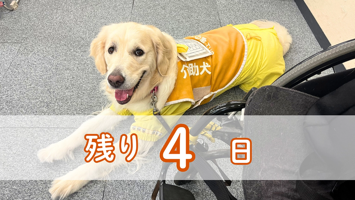 【残り4日】温かいご支援に感謝しております。皆さまからの応援コメントをご紹介