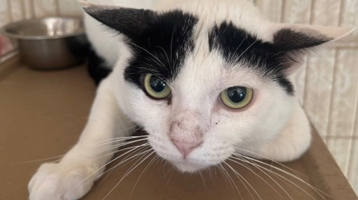 達成ありがとうございます！