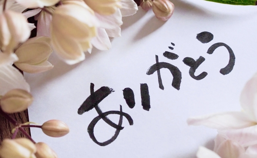 3,000円ご支援コース