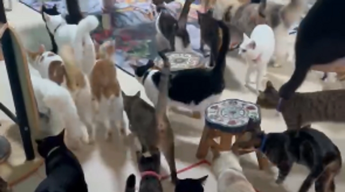 いつものご飯タイム