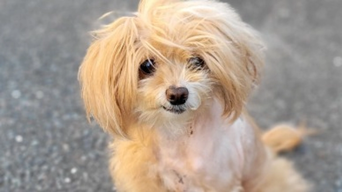 術後２週間経過