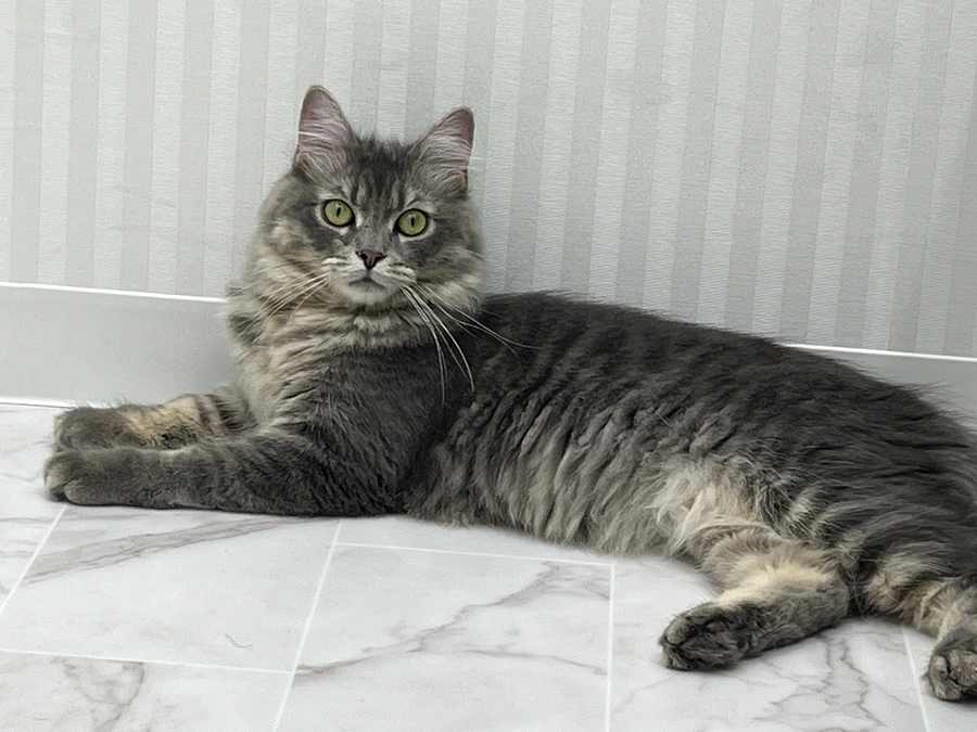 投薬31日目　投薬開始から1ヶ月