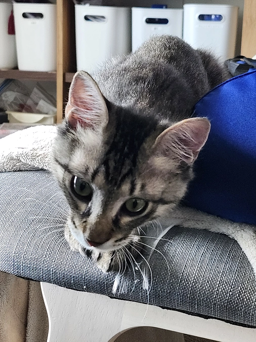 公開から２日経ちました！