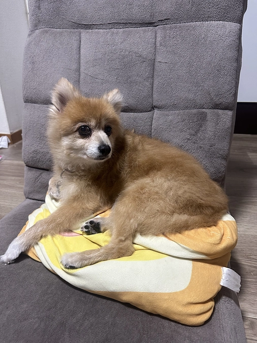 🆘残り61時間達成度62％🆘