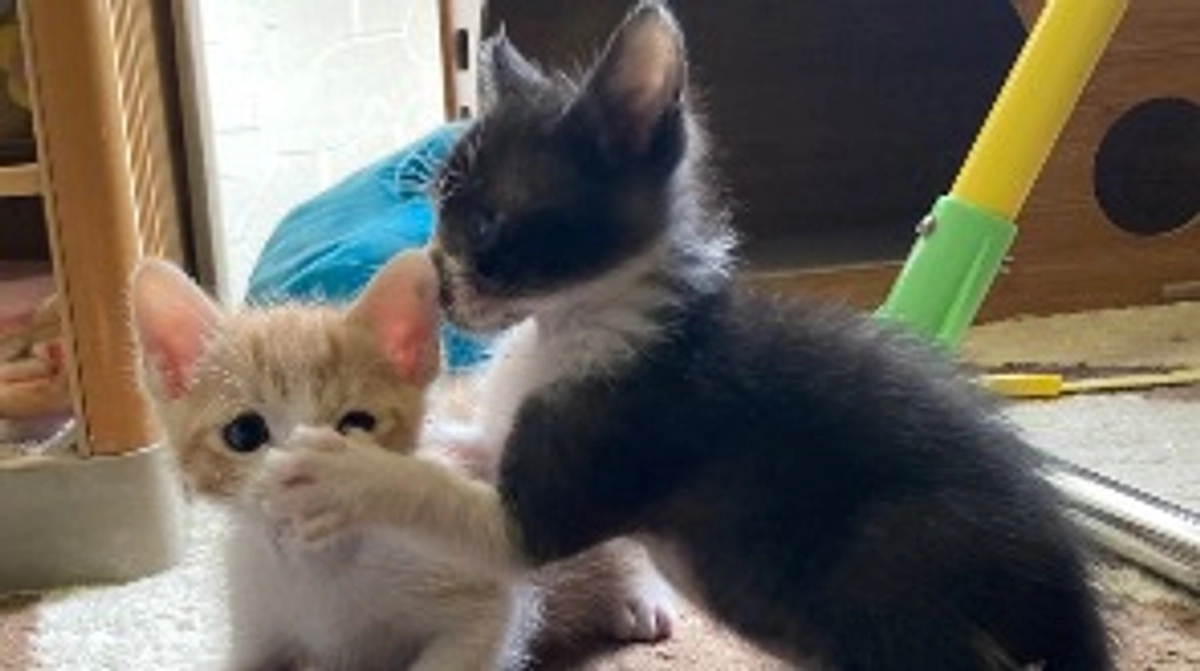 7月30日　最終日