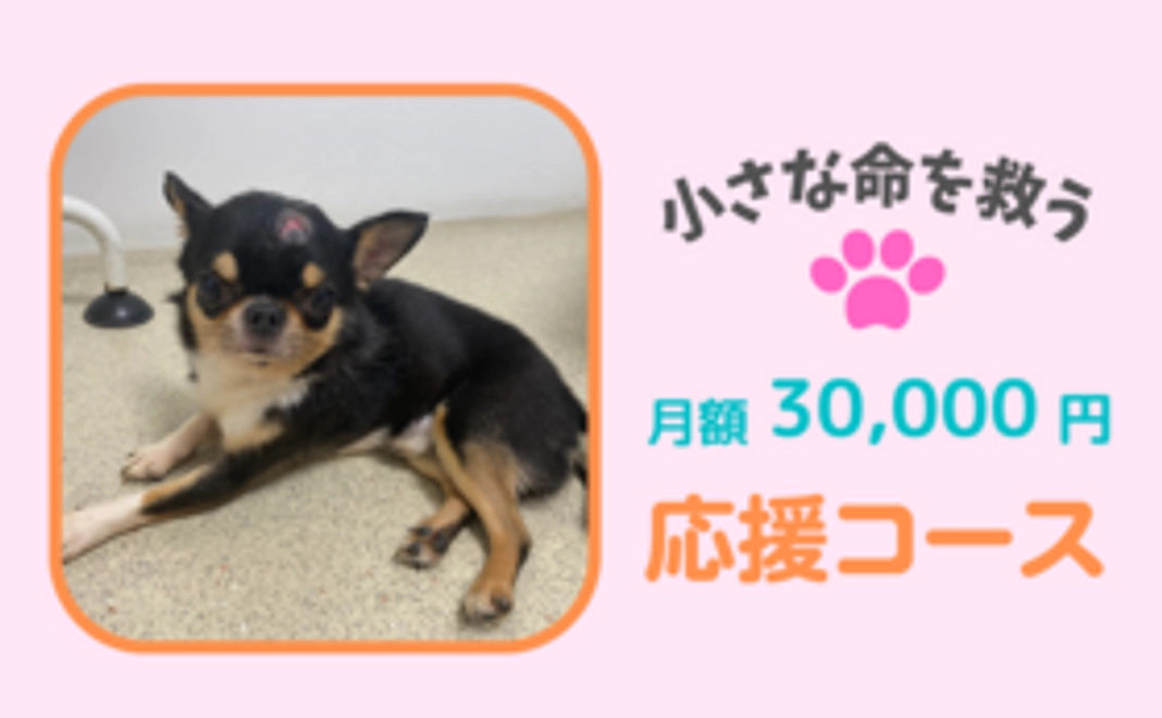 毎月応援！30,000円コース