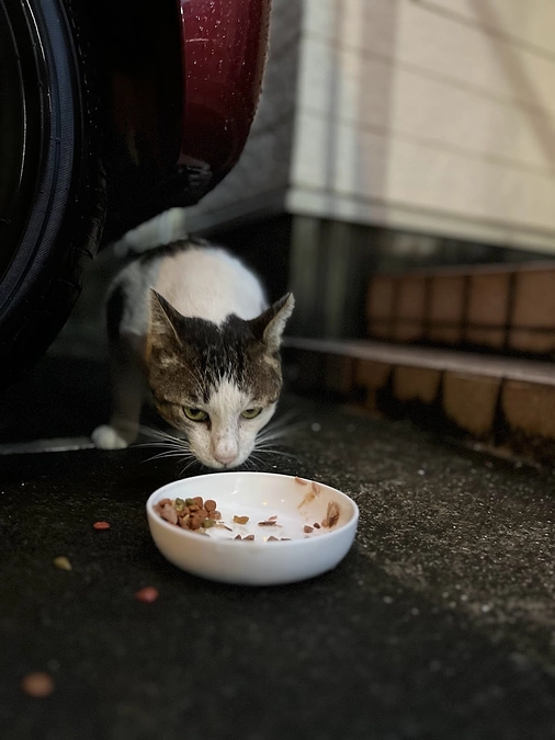 【活動報告】ゲリラ豪雨に見舞われた岡山