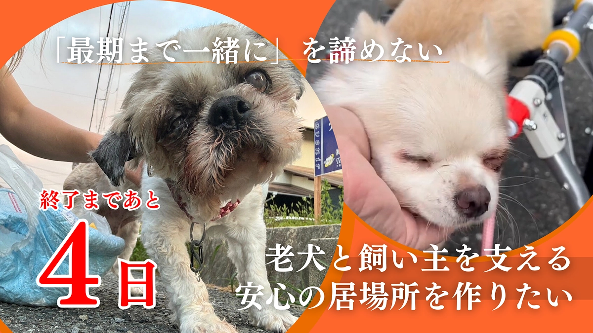 【残り4日】ネクストゴールまで残り470万円ッ！
