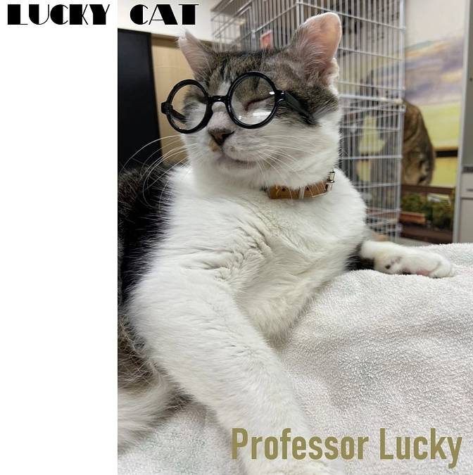 もう1枚ご覧ください