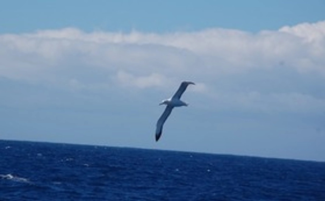 【映像で体感】南極の調査現場を映像でお届け!