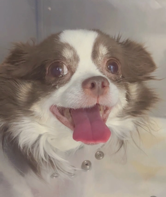 2023.12.08 術後三日目。