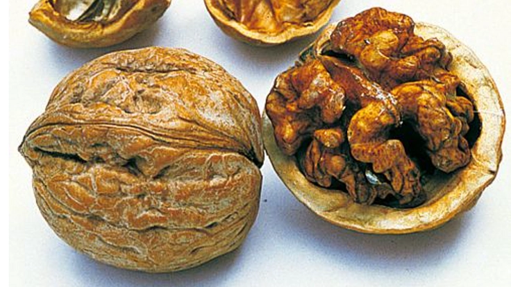 菓子くるみで社会貢献したい