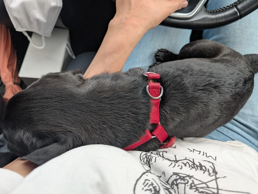 地元の循環器かかりつけ病院来てます🏥