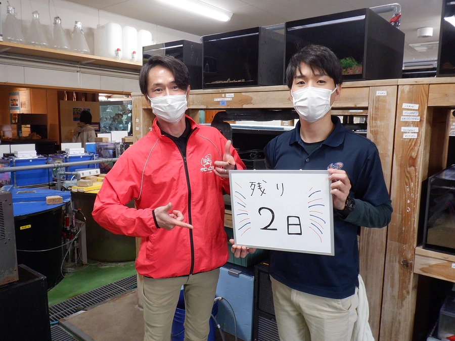 残り２日/カウントダウン