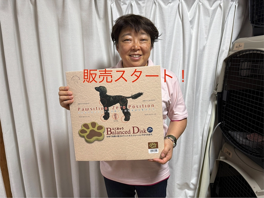 にくきゅうバランスディスク納品のお知らせ