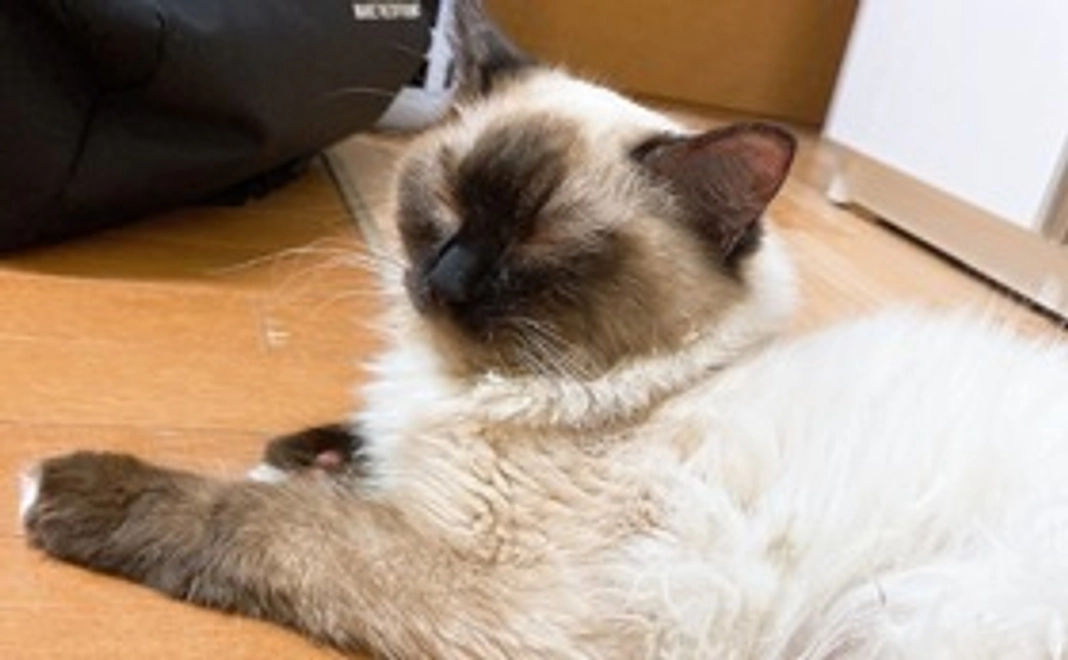 【全力応援】心を込めたメール⭐︎！