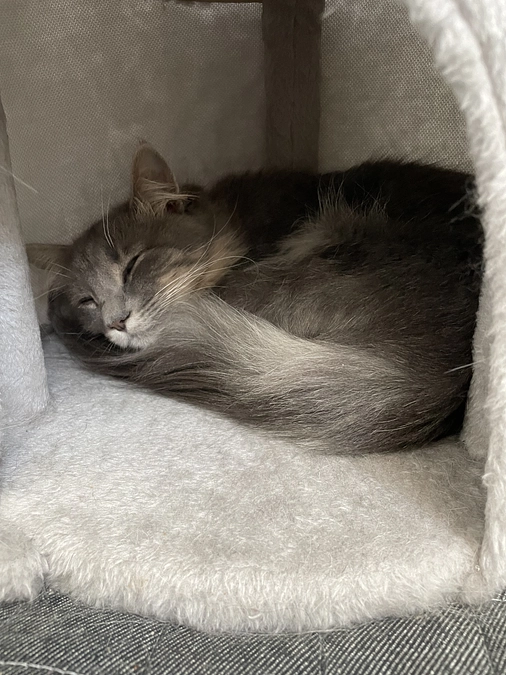 残り2日！！！達成率59%