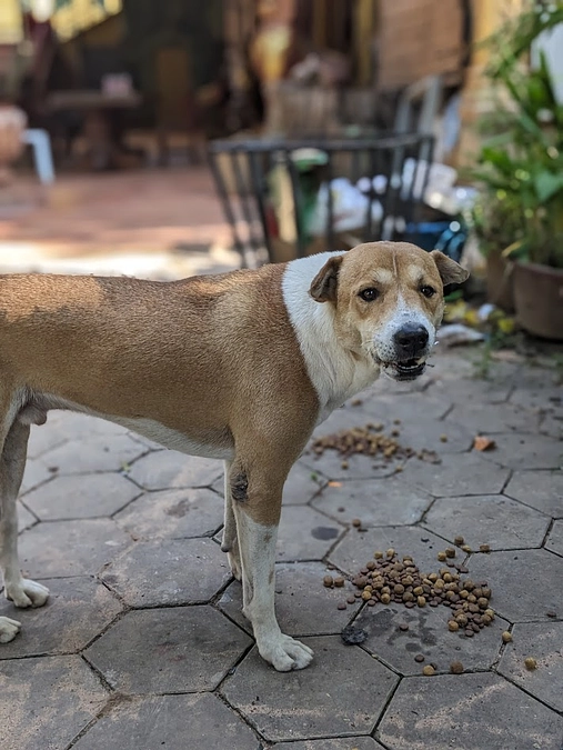 【感謝・感激】プロジェクト達成をさせていただきました！