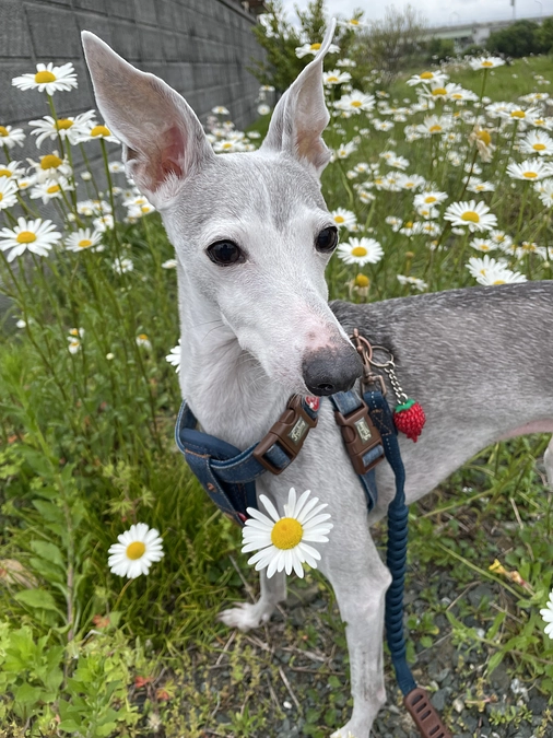 7月23日(水曜日)