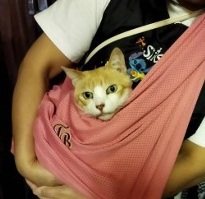 今年の慰霊祭　｜　マイケル営業部長　天寿園に転勤になりました