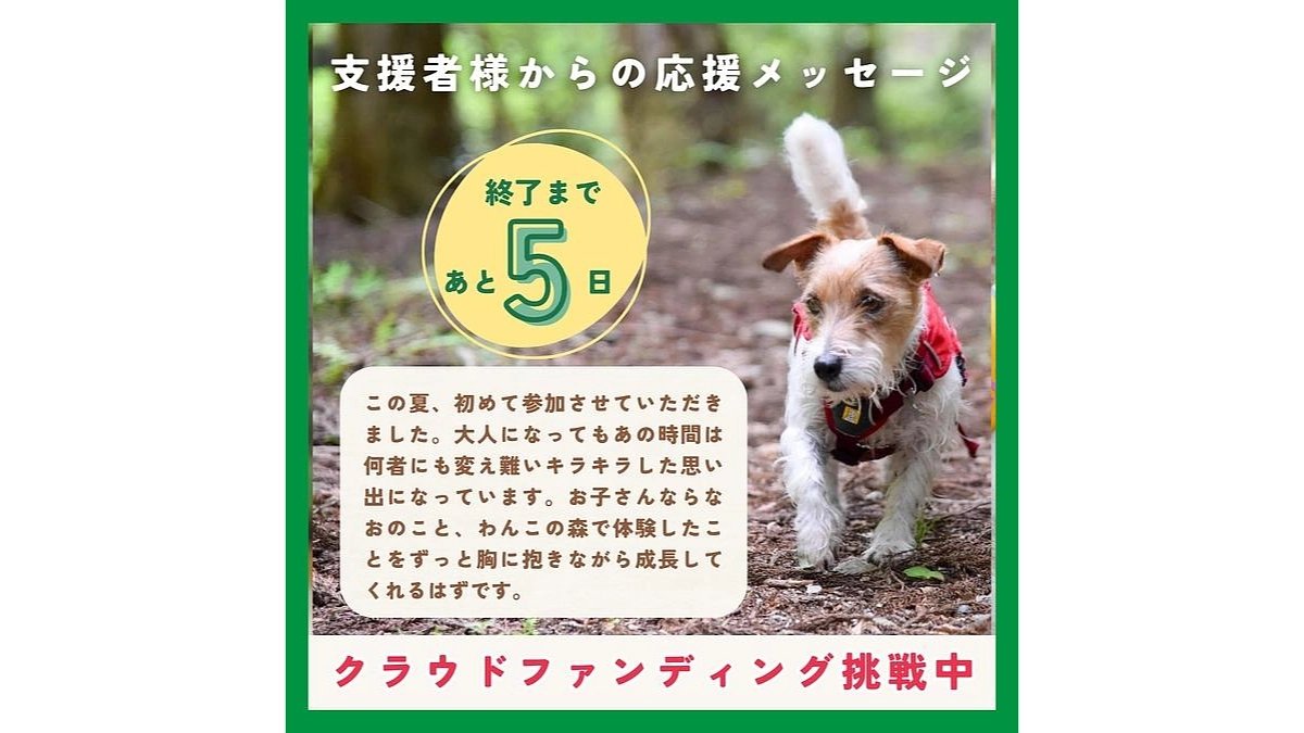 【ワンズ・ラフのストーリー⑨：コロナ禍のやすらぎ】