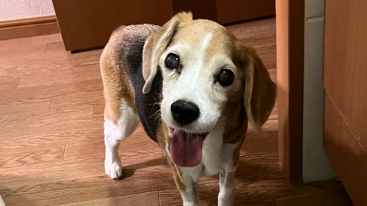 11/5 三週間ぶりに見れたちびっこの笑顔♡