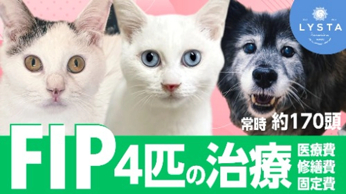 クラウドファンディング挑戦中≪圧迫する医療費、施設運営維持の危機、健全な運営に立て直すために≫