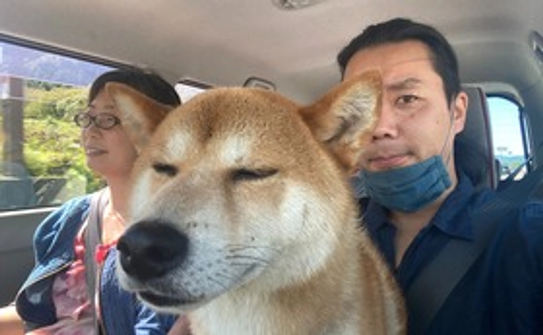 お気持ちコース