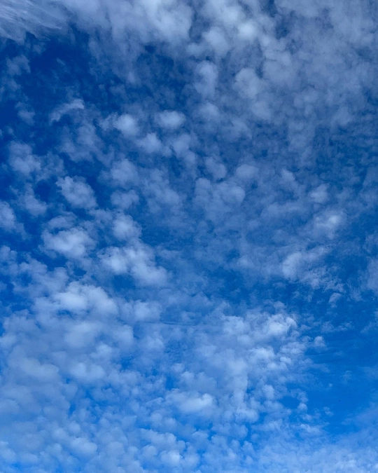 河北新報社さんから取材を受けました！