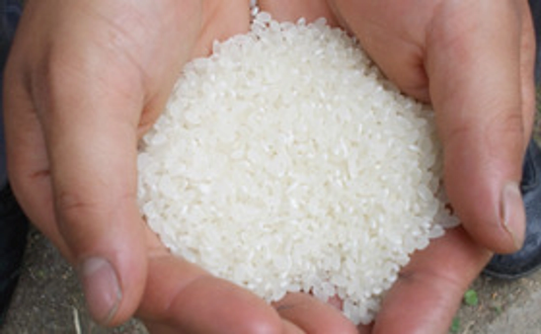 感謝の手紙 棚田米1合 （一期一会を一合一会に例えて、 棚田米1合をお送りします。）