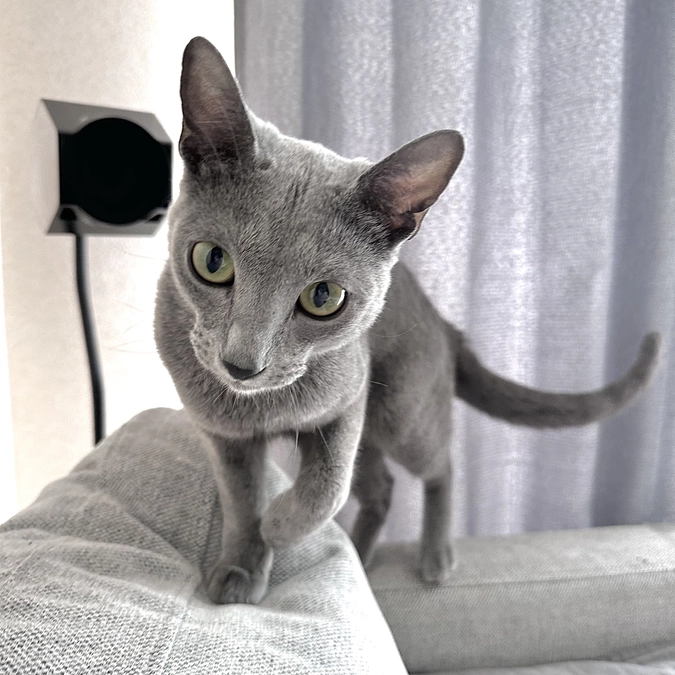 投薬39日目【病院行って来ました✨】