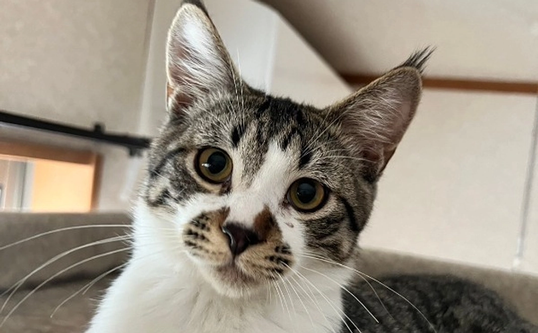 全力応援コース｜3千円