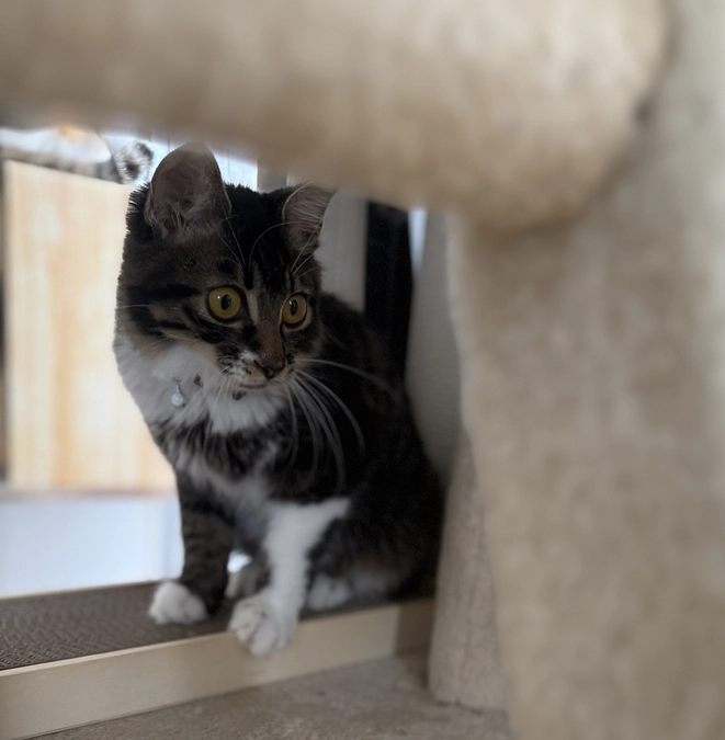 21日に出した検査結果が返ってきました！