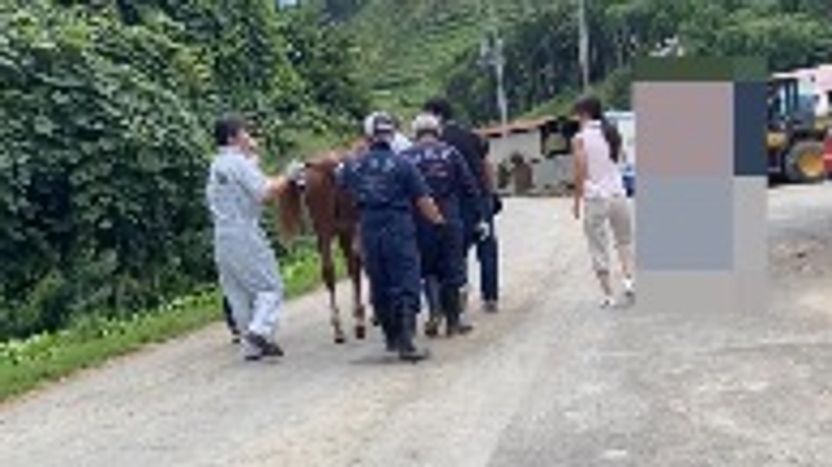 大江運送の皆様、ありがとうございます