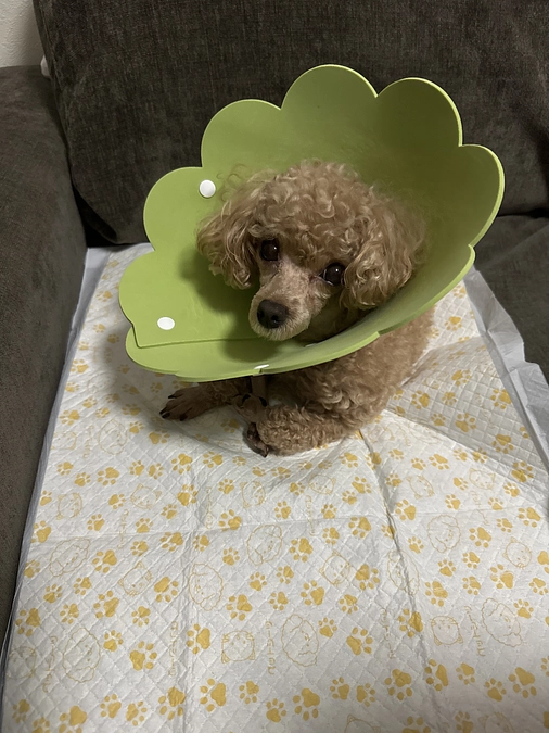 退院おめでとう🎉