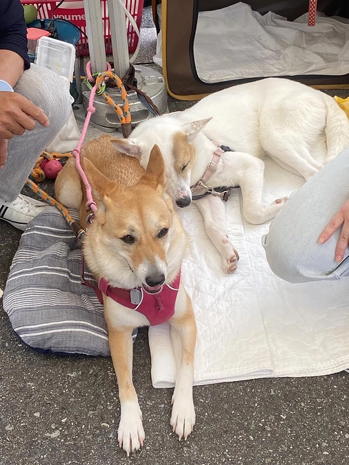 応援メッセージ　#７