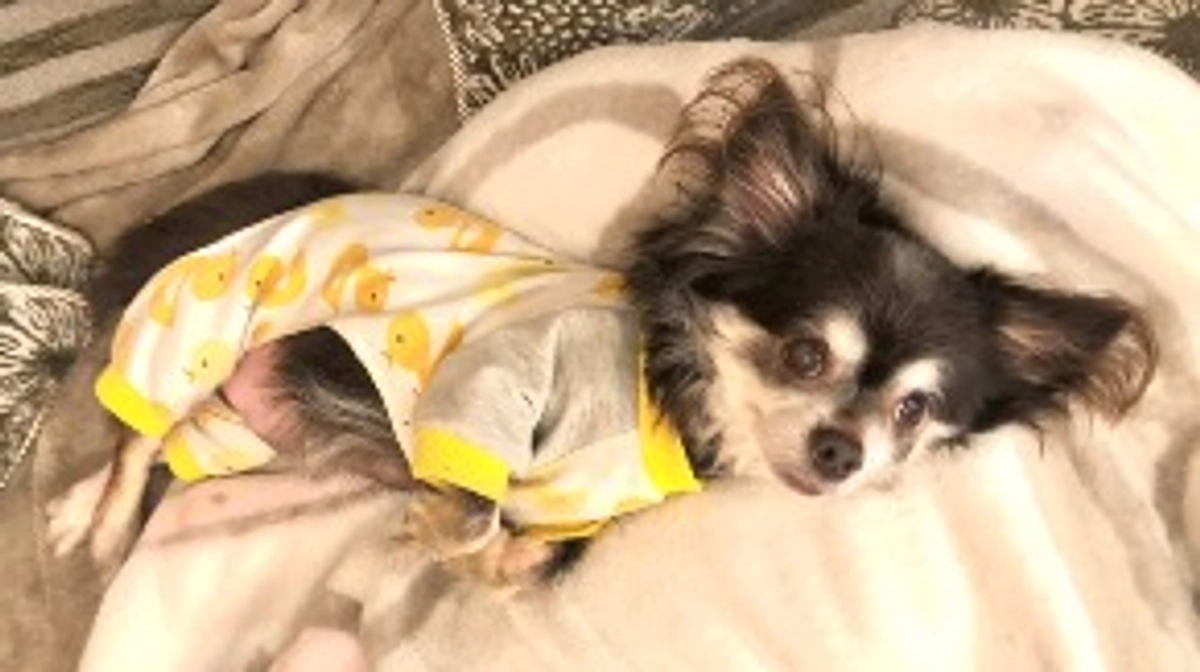 【3月18日】術後1ヵ月検診