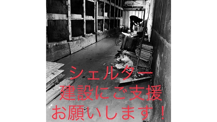 殺処分をなくし大切な命を救う為のシェルター建設にご協力ください！