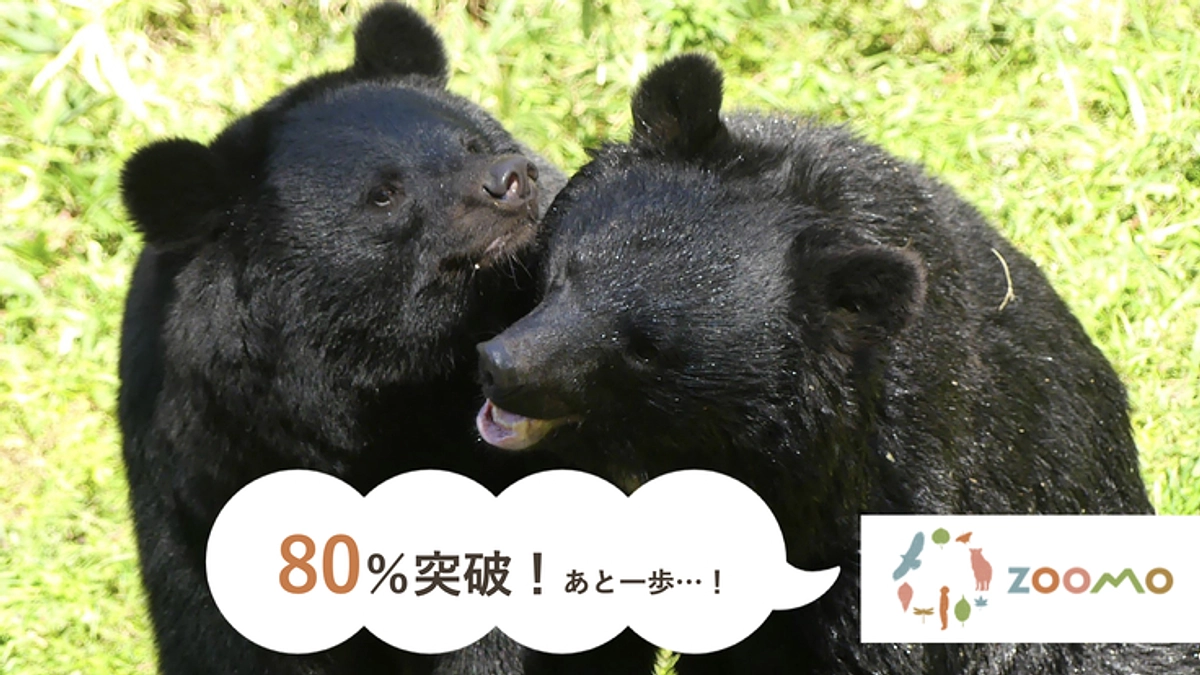 【80%突破！】ご支援の御礼と応援コメントのご紹介第五弾！達成まであと一歩…！