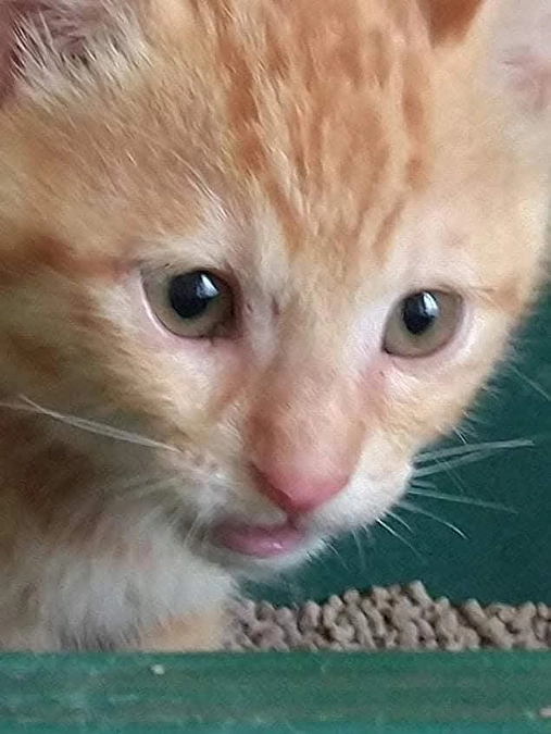 正義ヅラしやがって!!