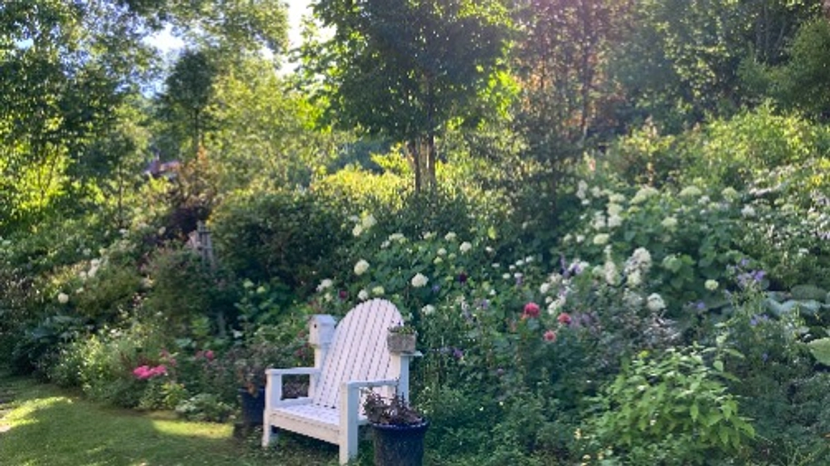 【残り2日】遅ればせながら、スタッフ紹介させていただきます