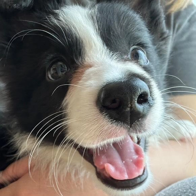 5月の収支報告です