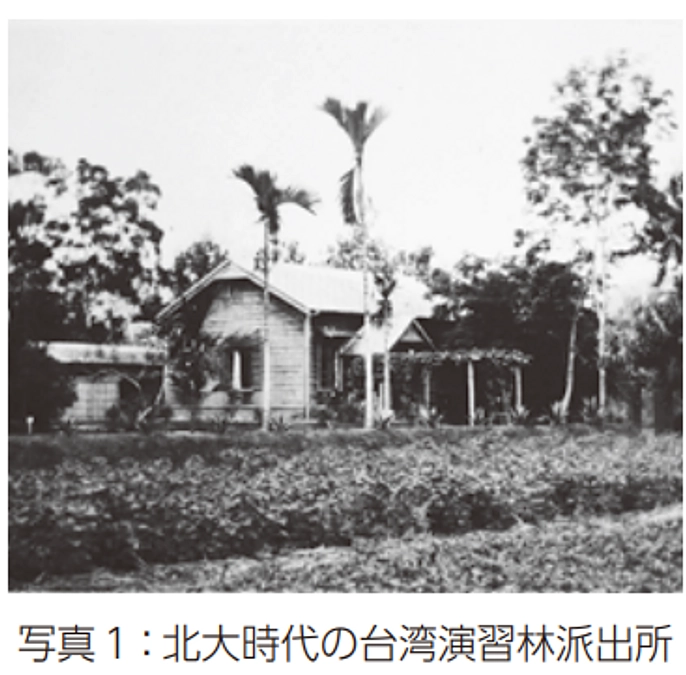 100以上前の台湾珈琲と北海道大学