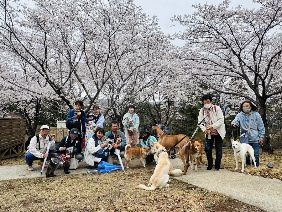 改めましてご報告と御礼