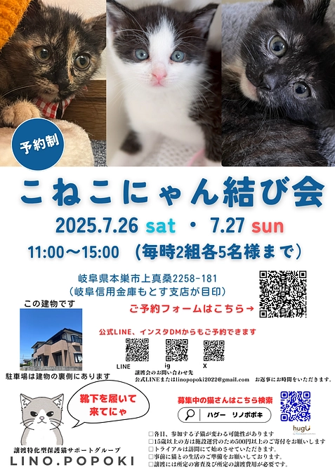 7月はこねこ譲渡会