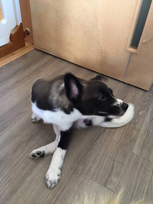 ボランティアの胸のうち　ベテランJさん