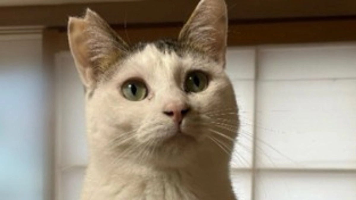 🍃25年6月のご報告🍃