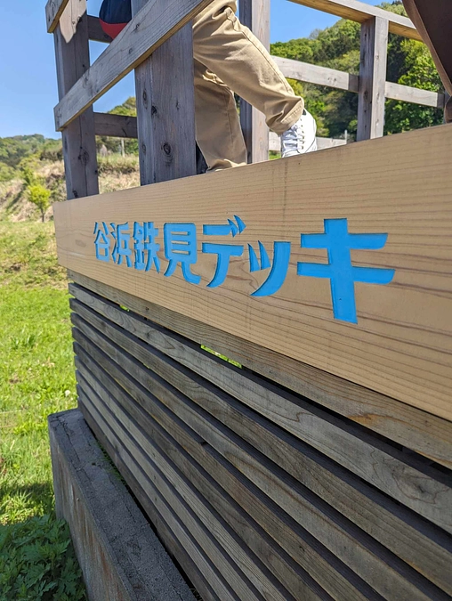 NHK新潟で紹介頂きました