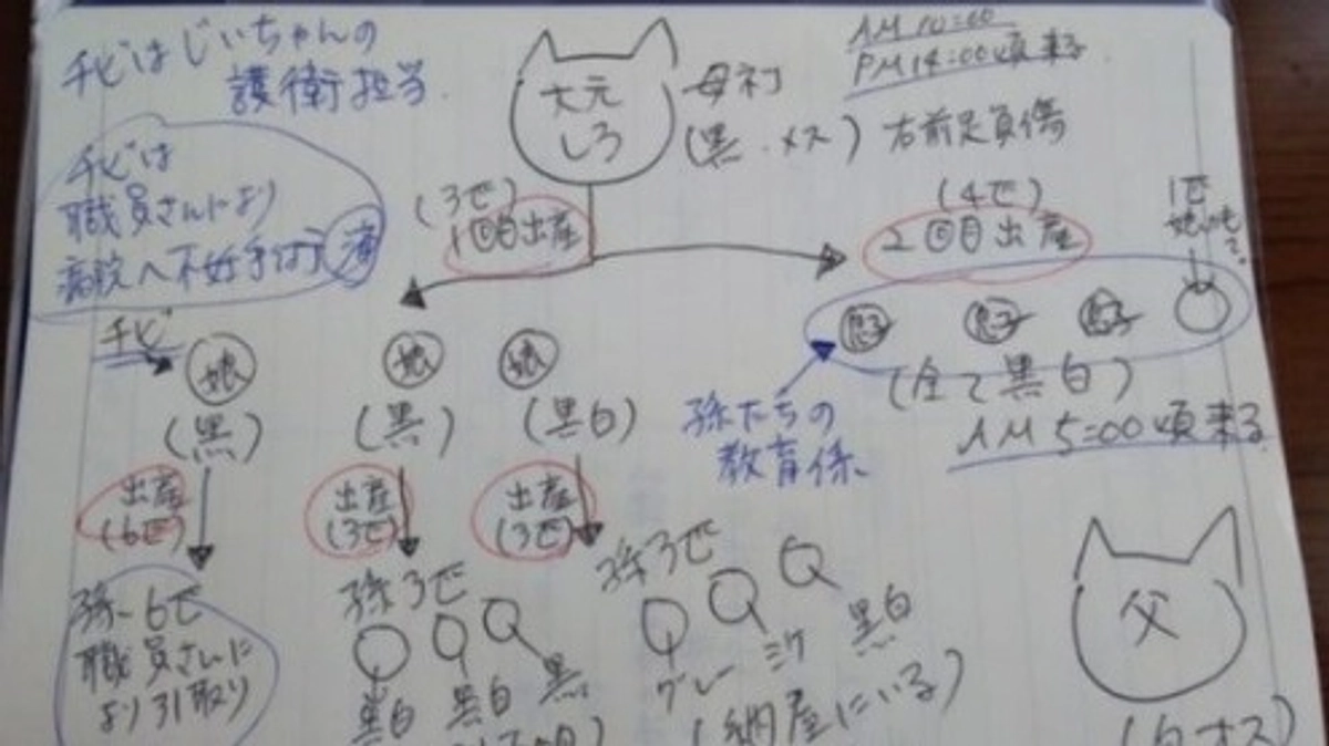 【あと52万円で1600万円！】TNRで福祉・地域・愛護団体の連携が好循環を生んだ例をご紹介します！